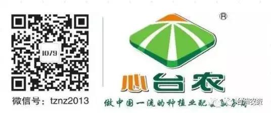 臺州農(nóng)資攜手意大利啟騰與浙柑所達(dá)成戰(zhàn)略合作，開啟柑橘可持續(xù)栽培研究新篇章！