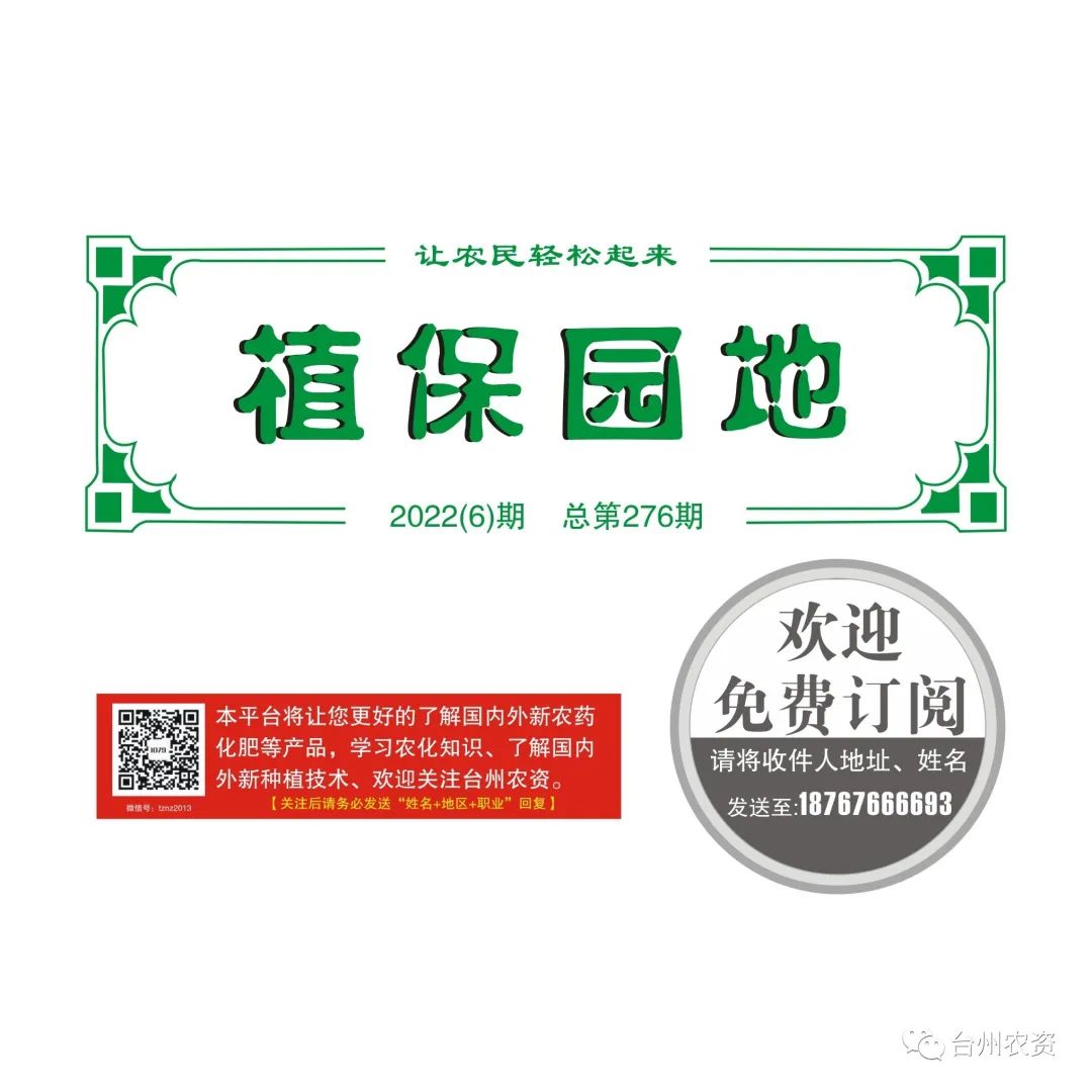 梅雨季節(jié)來臨，柑橘即將穩(wěn)果，注意管理好夏梢，合理施肥打藥