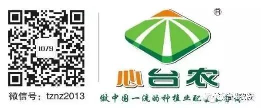 果實接近成熟，警惕柑橘表面各種油胞病